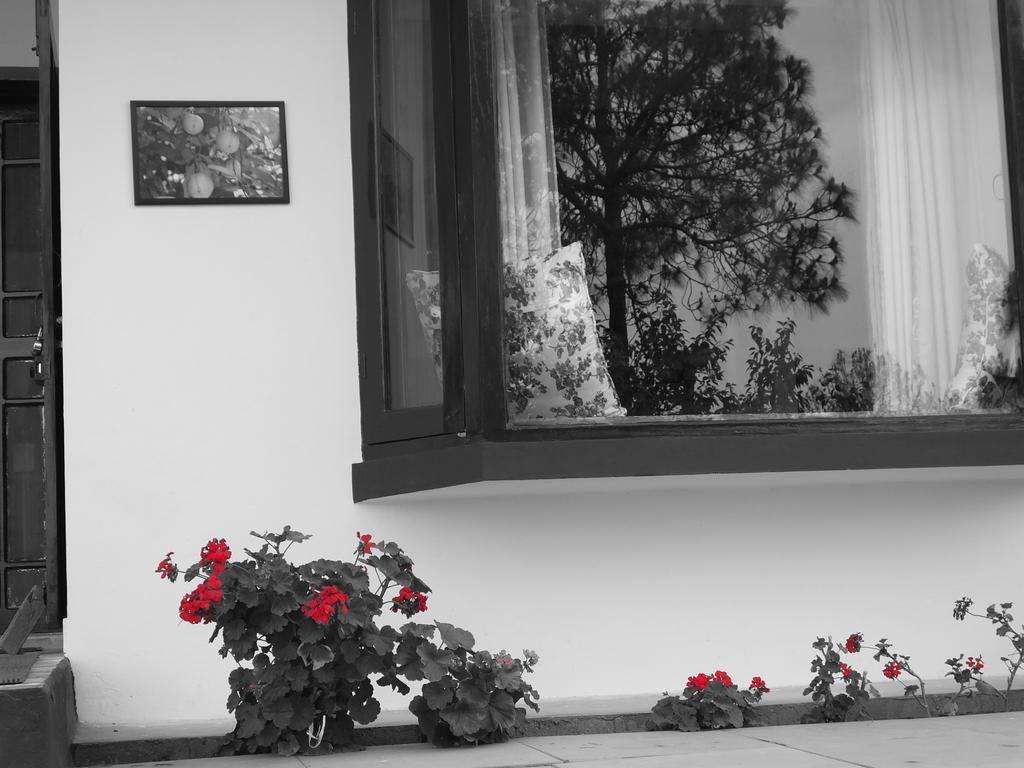 Hostie Sharanam - 2Bhk Pvt Mountain Villa, Majkhali Ranikhet Exterior foto